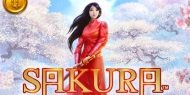 Sakura Fortune